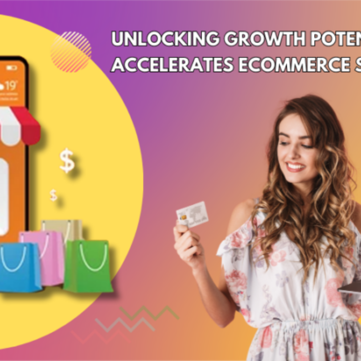 Unlocking Growth Potential: How Nipige SaaS Accelerates Ecommerce Success